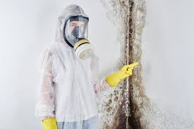 Reliable Stanley, NC Mold Removal & Remediation Solutions